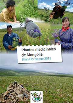 mongolie-plante