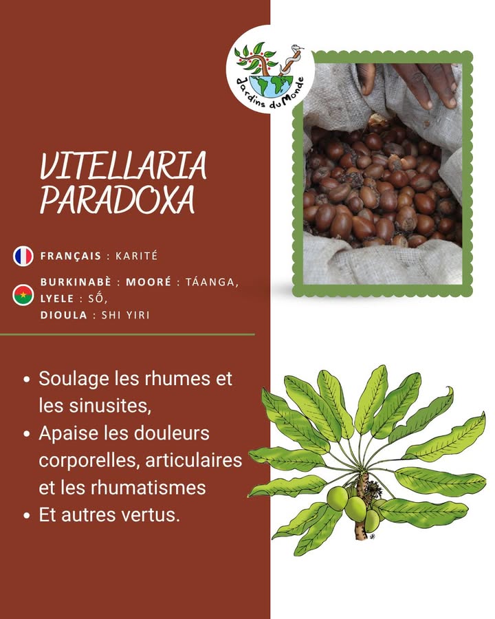 Jardins du Monde