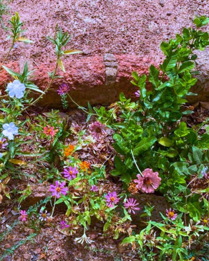 Jardins du Monde