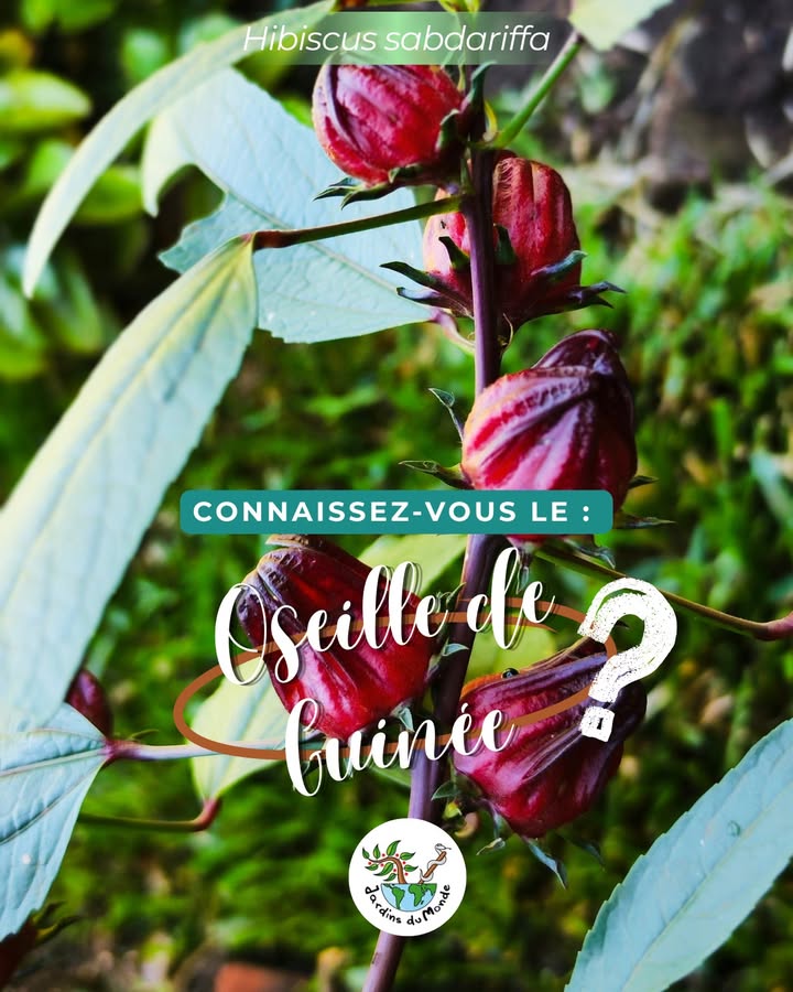 Jardins du Monde